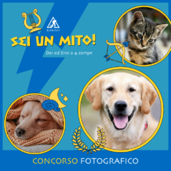 Canendario 2026 – 13° edizione del concorso fotografico